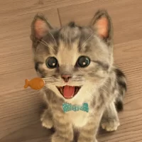 Little Kitten: My Favorite Cat на Андроид