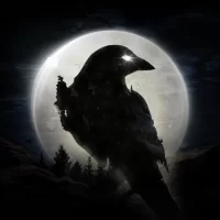 Night Crows на Андроид